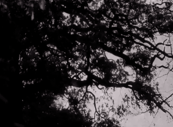 curse of the demon lightning